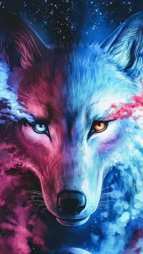 Cute Wolf Wallpaper