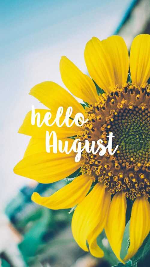 Hello August Wallpapers