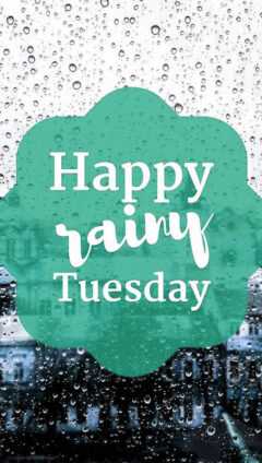 Happy Rainy Tuesday