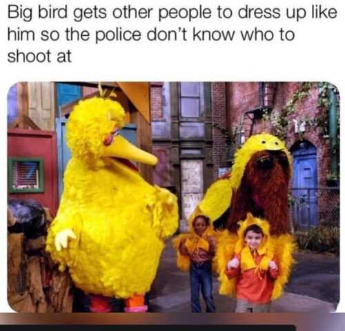 Big Bird Meme