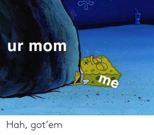 Ur Mom Meme