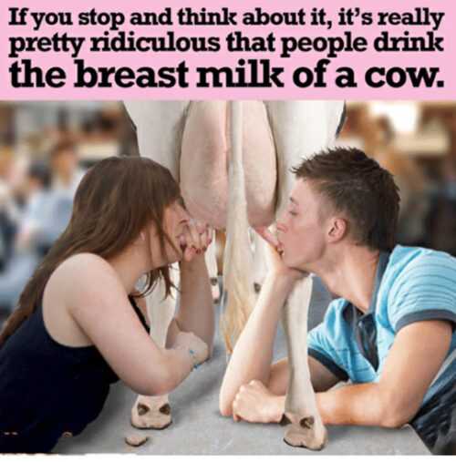 Breast Milk Meme