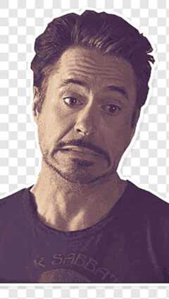 Robert Downey Jr Meme