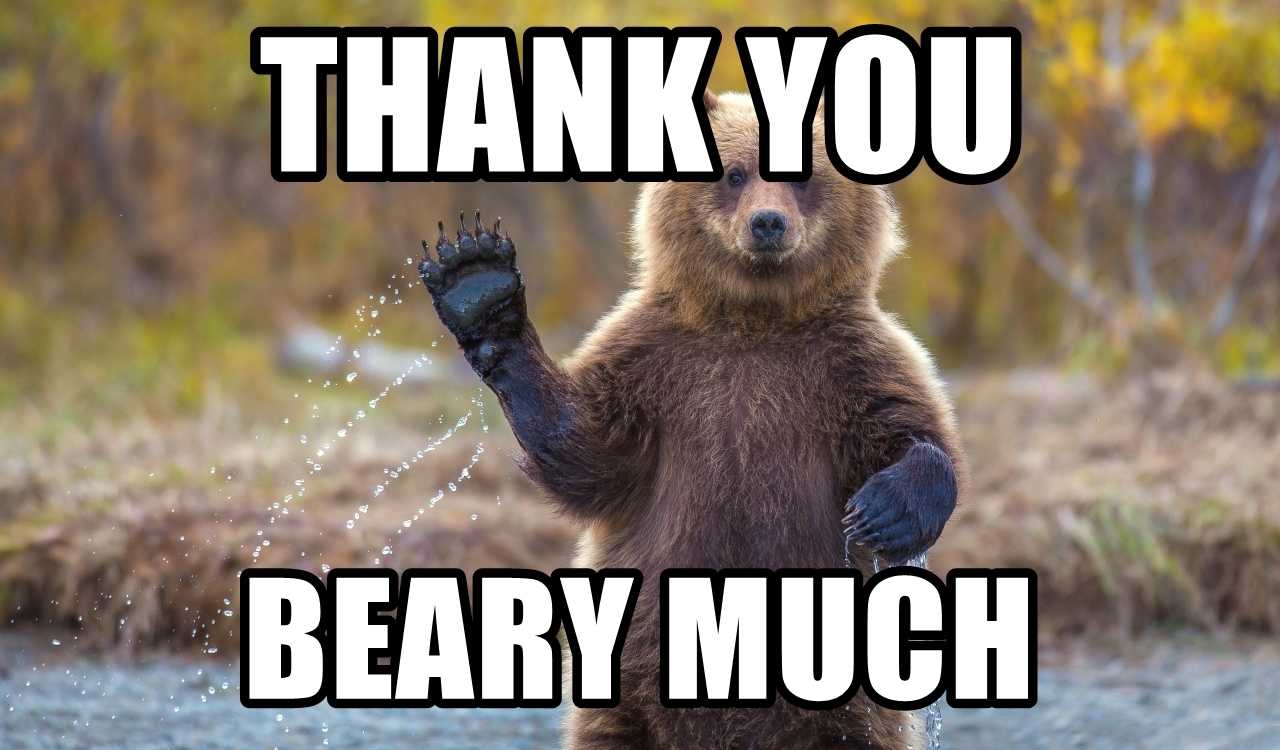 Download Funny Thank You Meme. 