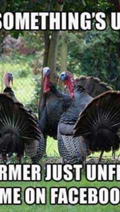 Almost Turkey Day Meme