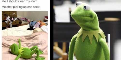 Kermit The Frog Meme