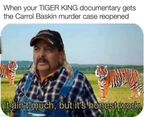 Tiger King Meme - VoBss
