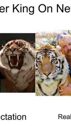 Tiger King Meme