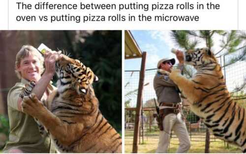 Tiger King Meme