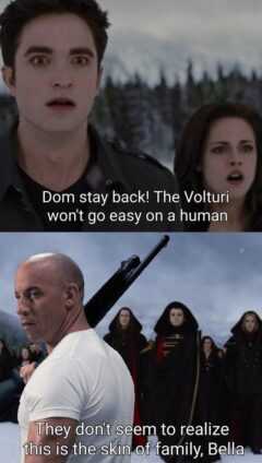 Vin Diesel Family Meme