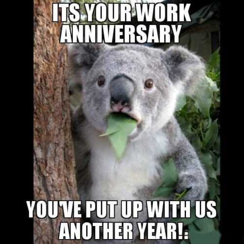 Work Anniversary Meme