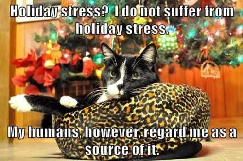 Holiday Stress Meme