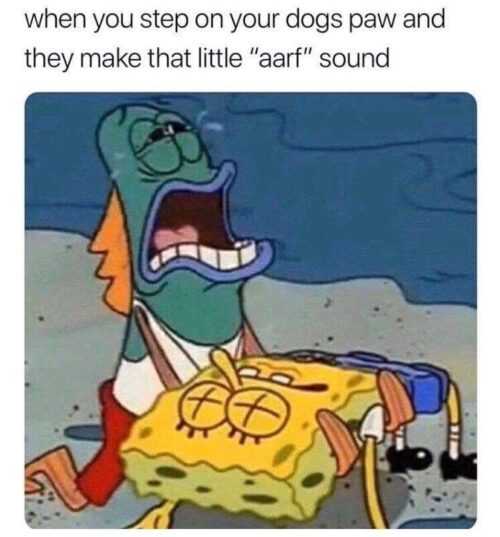 Spongebob Dead Meme