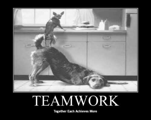 Teamwork Meme - VoBss