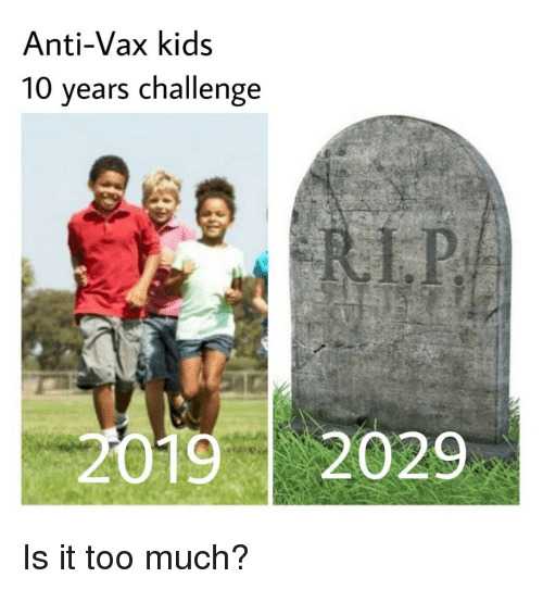 10 Year Challenge Meme - VoBss