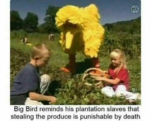 Big Bird Meme