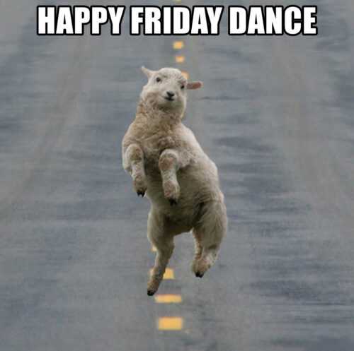 Friday Dance Meme