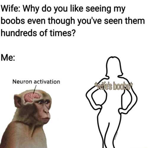 Neuron Activation Meme
