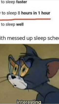 Sleep Meme