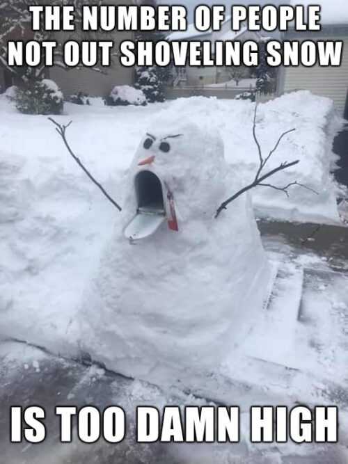 Snow Meme