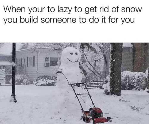 Snow Meme
