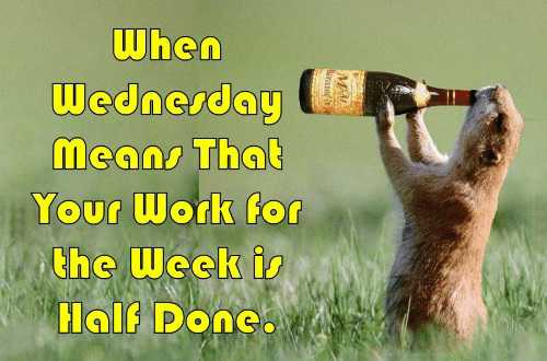 Wednesday Motivation Meme