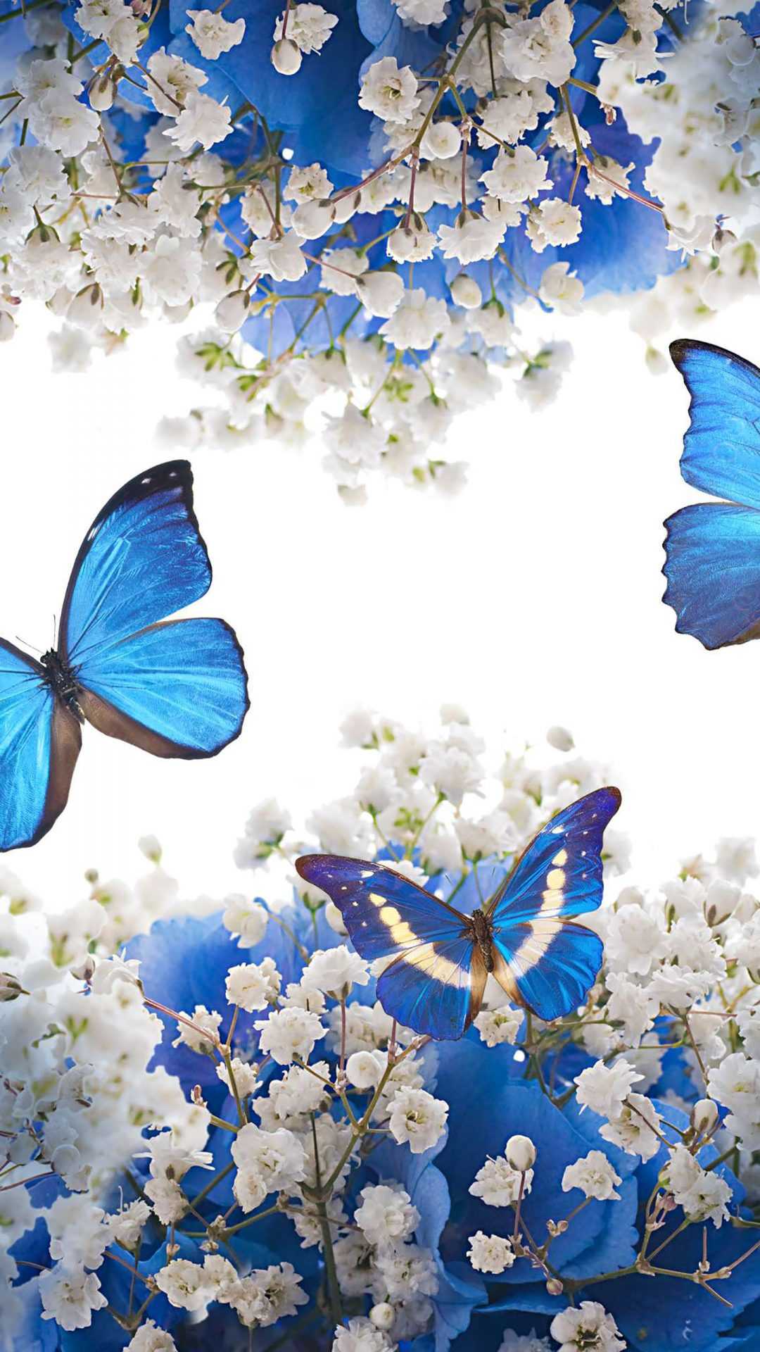 Butterfly Wallpaper - VoBss