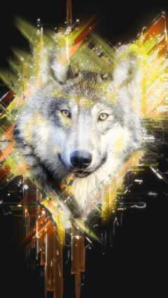 Cool Wolf Wallpaper