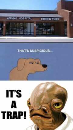 Suspicious Dog Meme
