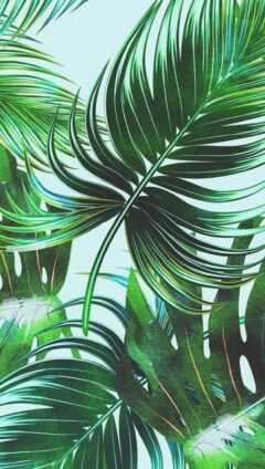 Botanical Desktop Wallpaper