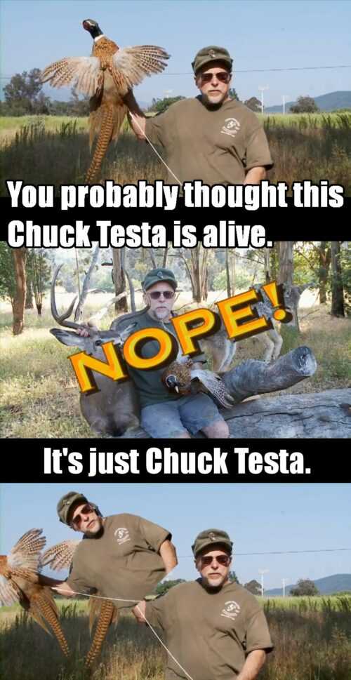 Chuck Testa Meme