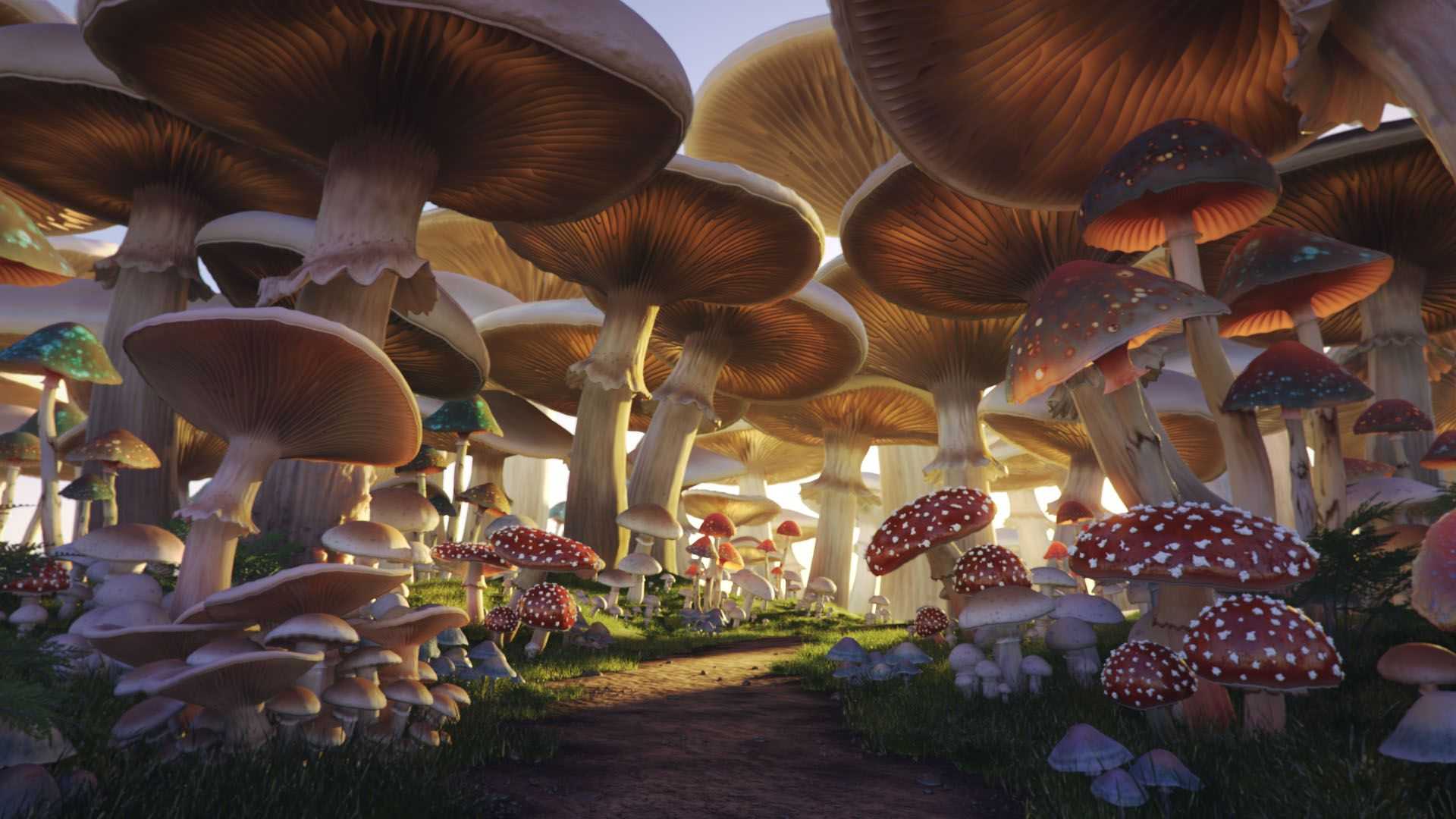 Mushroom Desktop Wallpaper - VoBss