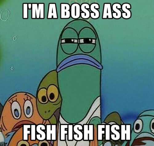 Spongebob Fish Meme