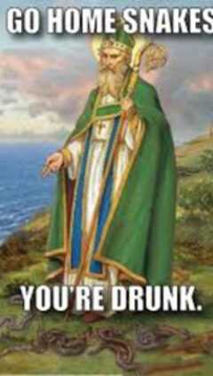 St Patricks Meme