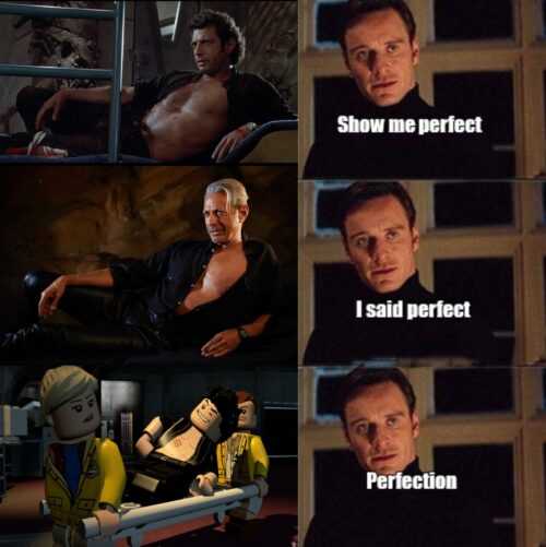 Perfection Meme