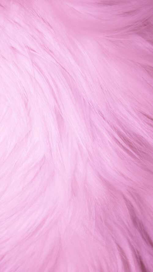 Pink Wallpaper - VoBss