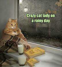 Rainy Day Meme