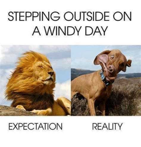 Windy Meme - VoBss