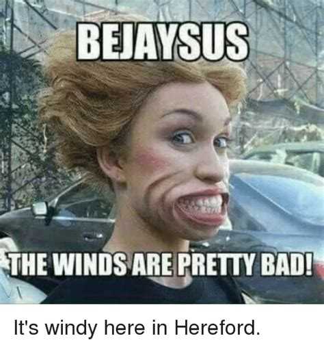 Windy Meme