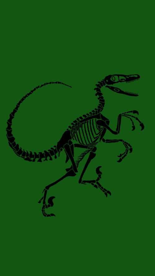Dinosaur Wallpaper - VoBss