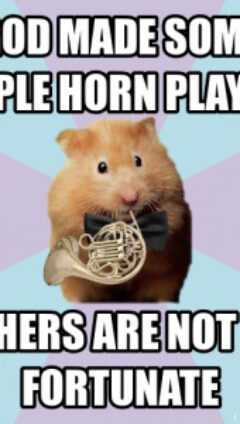 Hamster Meme
