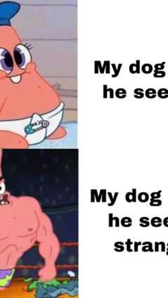 Patrick Star Meme