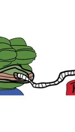 The Frog Meme