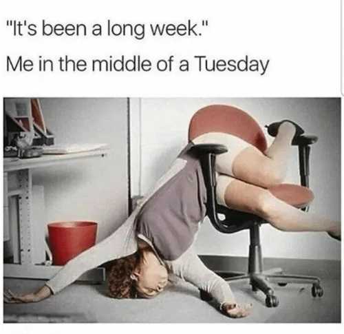 Tuesday Meme