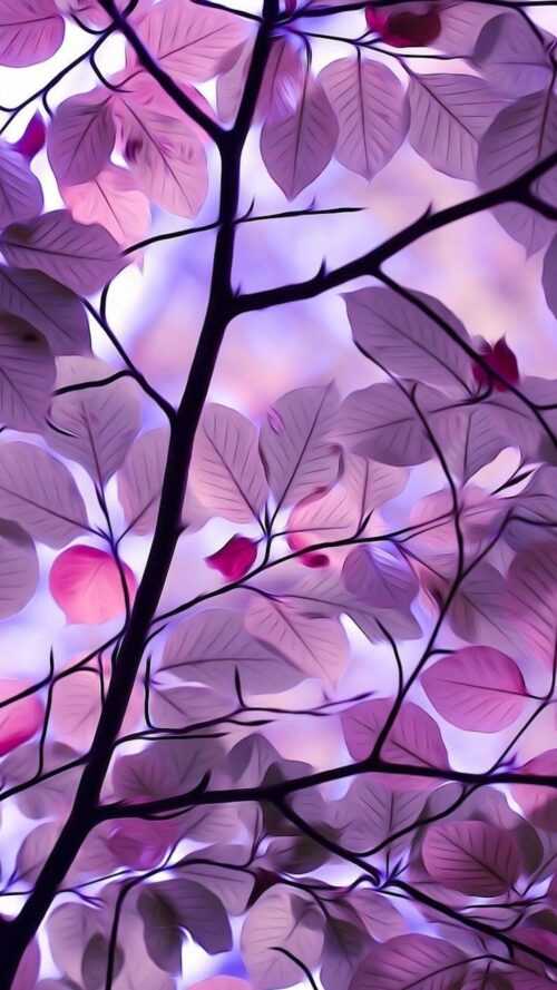 Purple Wallpaper