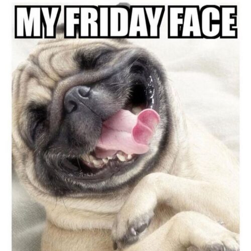 Happy Friday Meme