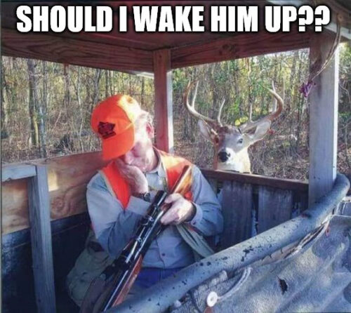 Deer Hunting Meme