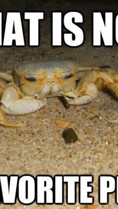 Crab Meme