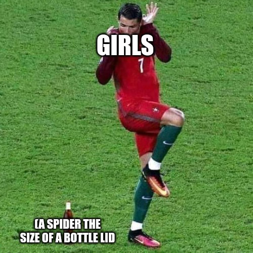 Cristiano Ronaldo Meme - VoBss