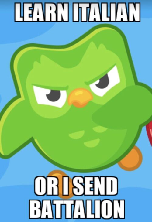 Duolingo Bird Meme